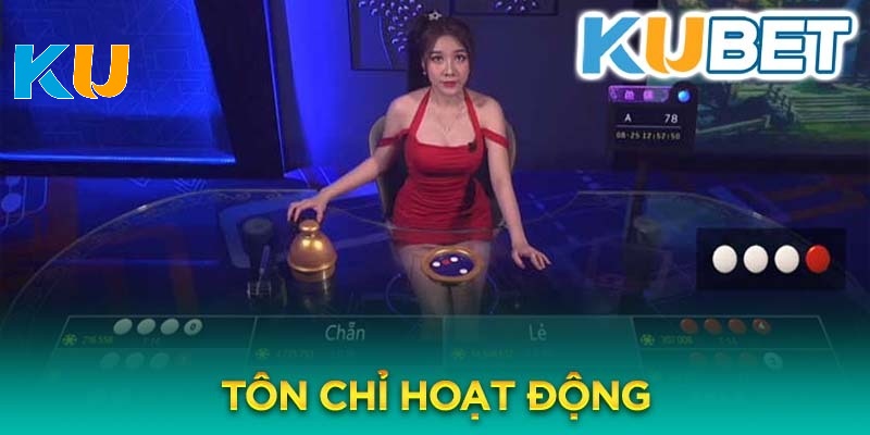 Đôi nét giới thiệu vài thông tin về nhà cái Kubet88