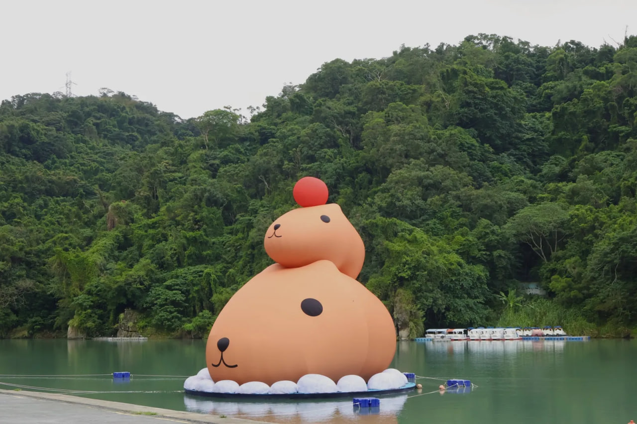 น้ำตาล “คาปิบาระคุง” มาพักผ่อนถึงบิถาน! ตุ๊กตายักษ์สูง 12 เมตรสุดน่ารักจัดแสดงถึงสิ้นเดือนธันวาคม