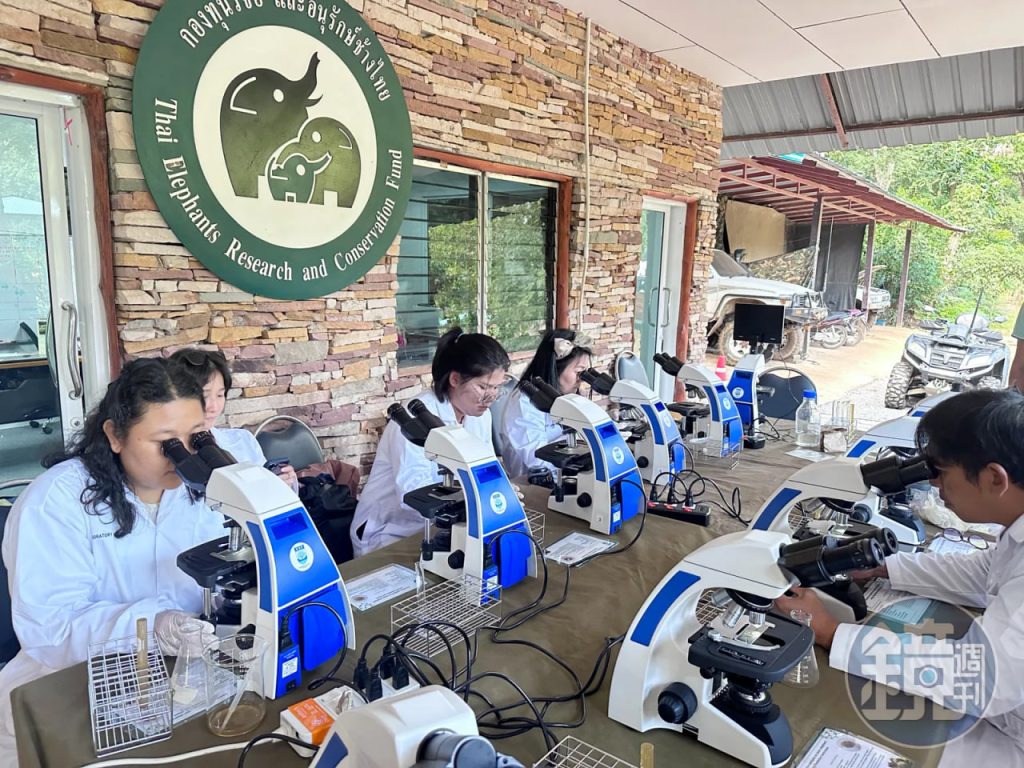 ประสบการณ์ "คอร์สดูแลช้าง" ณ เขาใหญ่: ทำไมการไม่ขี่ช้างจึงสนุกกว่า?